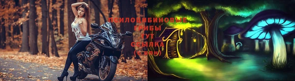 дмт Михайлов